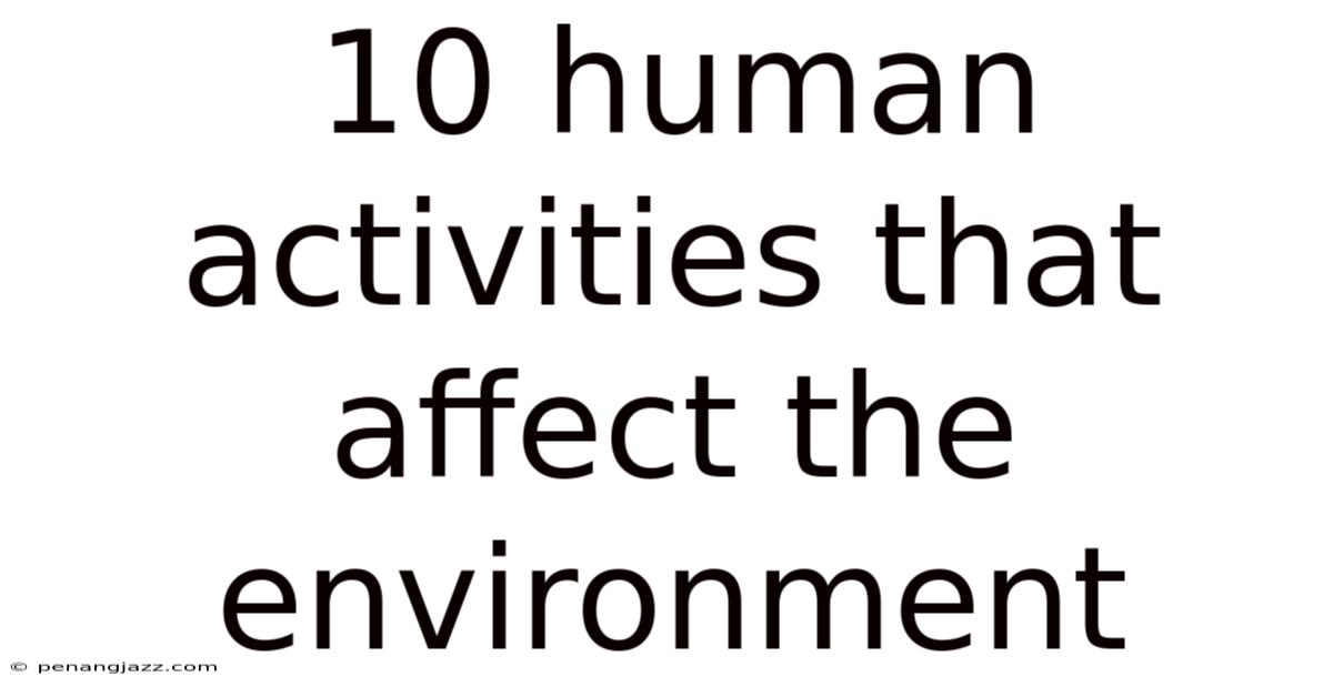 10 Human Activities That Affect The Environment