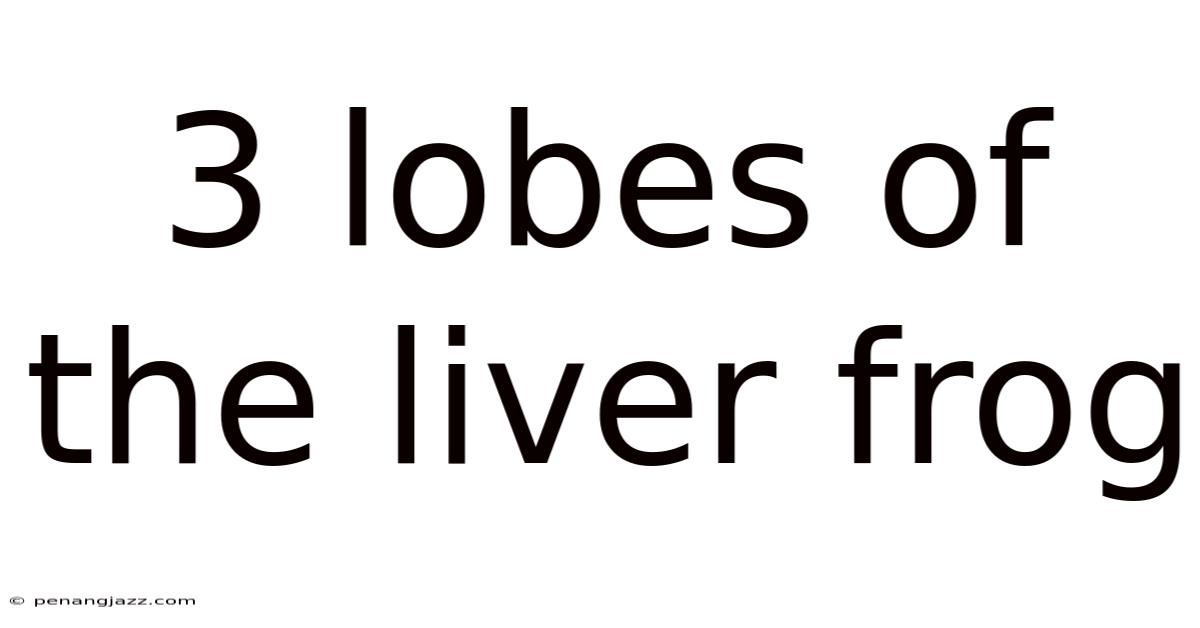 3 Lobes Of The Liver Frog