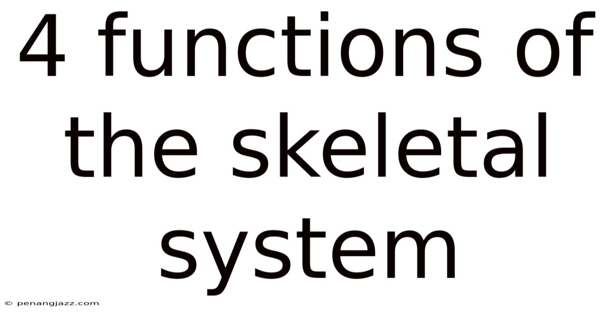 4 Functions Of The Skeletal System