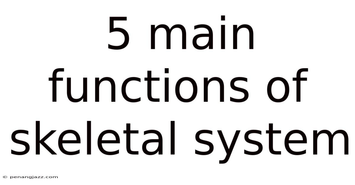 5 Main Functions Of Skeletal System