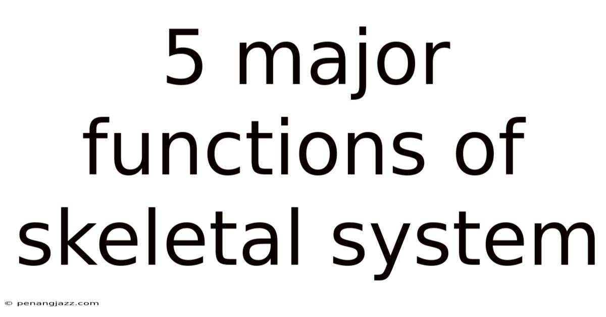 5 Major Functions Of Skeletal System