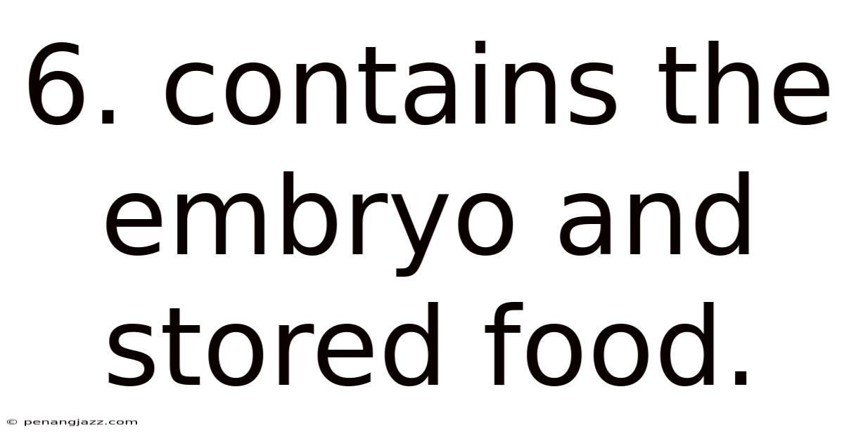 6. Contains The Embryo And Stored Food.
