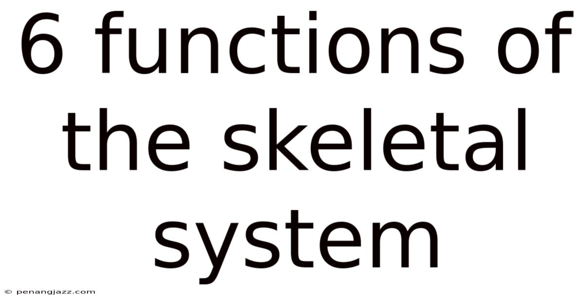 6 Functions Of The Skeletal System