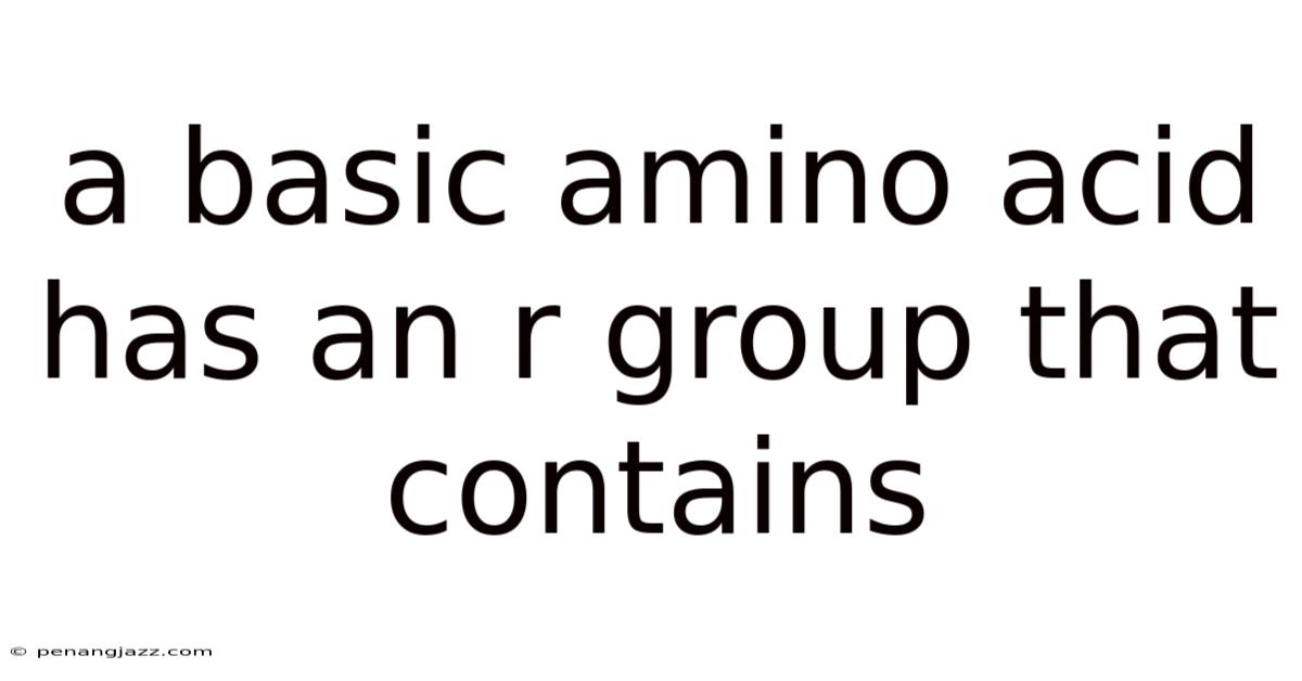 A Basic Amino Acid Has An R Group That Contains
