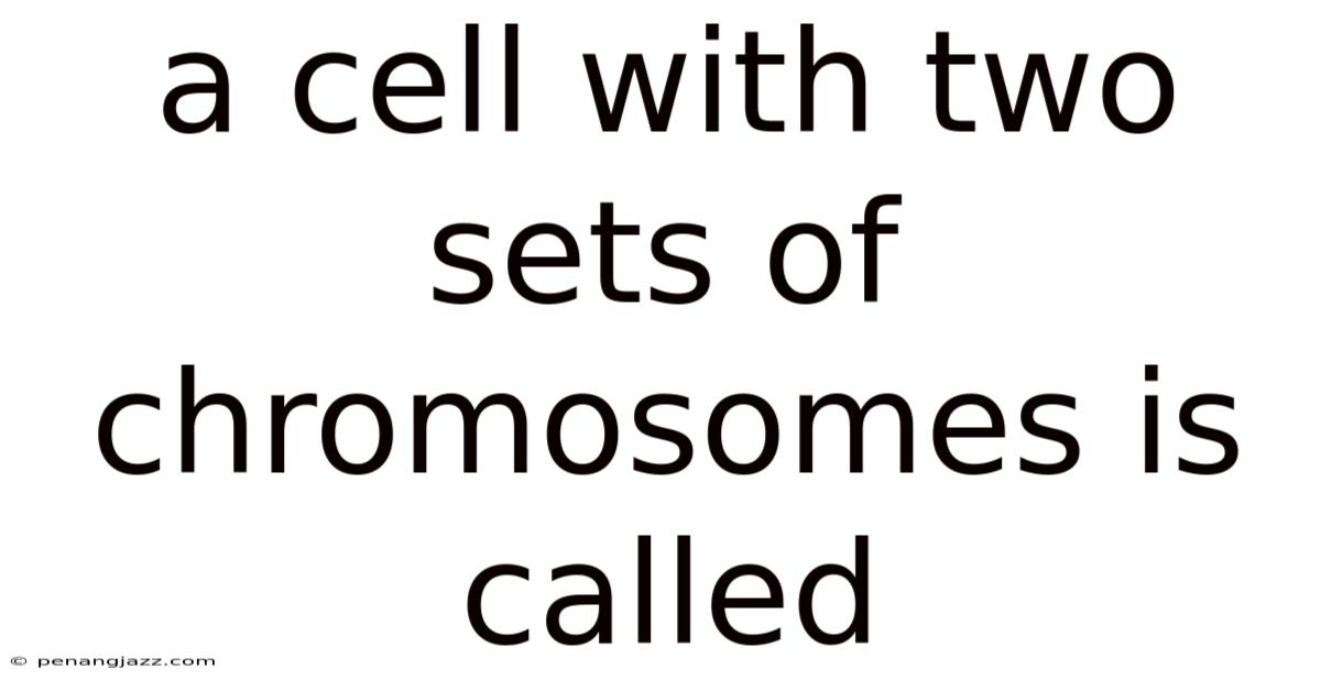 A Cell With Two Sets Of Chromosomes Is Called