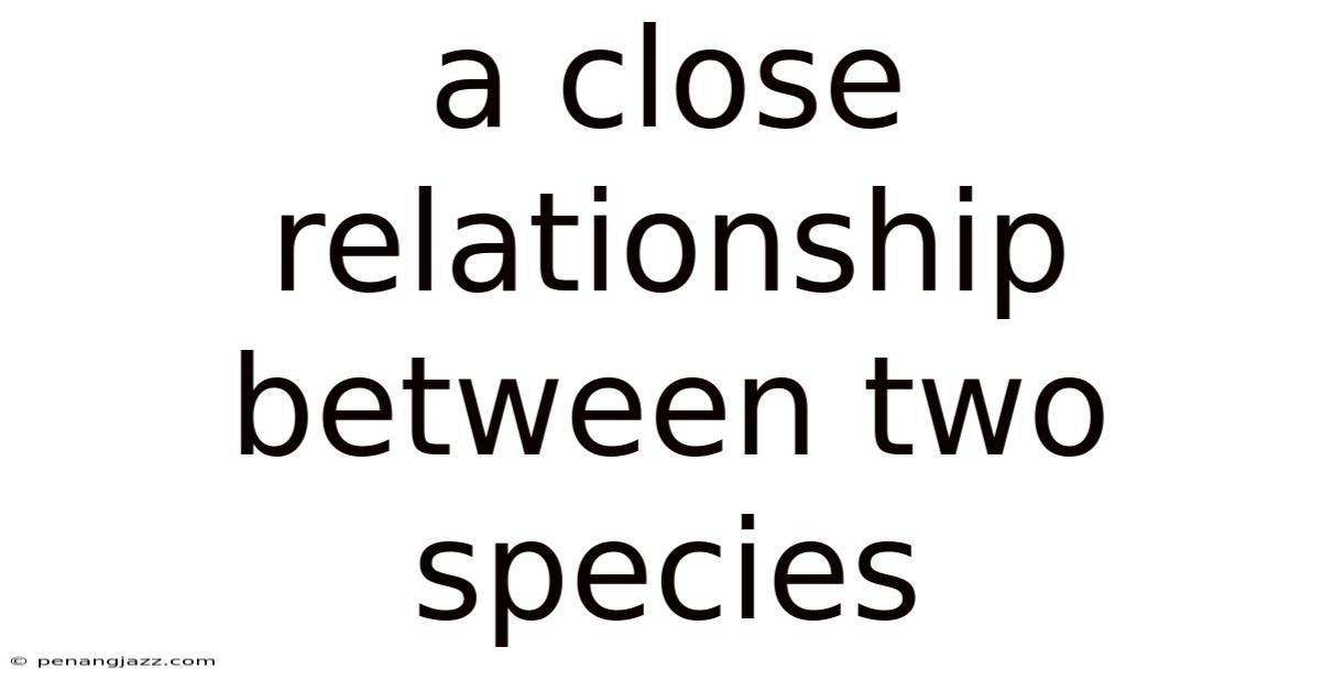 A Close Relationship Between Two Species