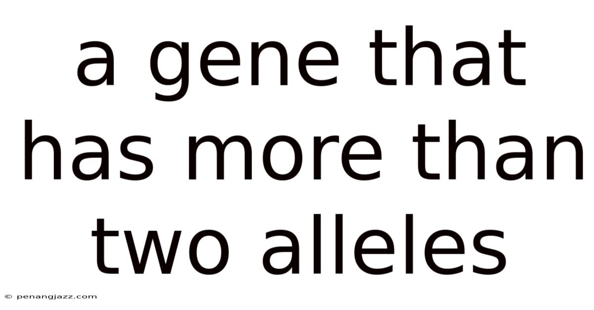 A Gene That Has More Than Two Alleles
