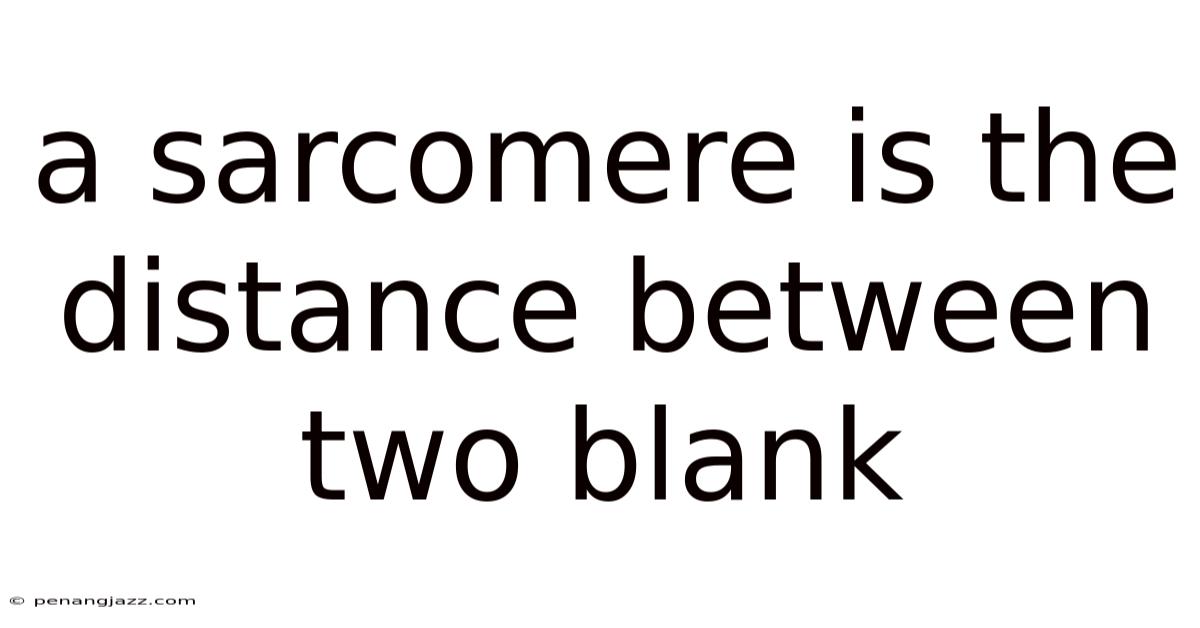 A Sarcomere Is The Distance Between Two Blank