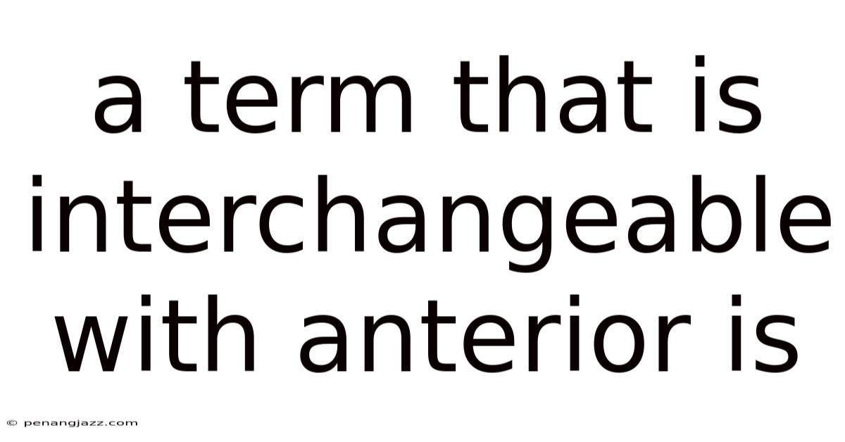 A Term That Is Interchangeable With Anterior Is