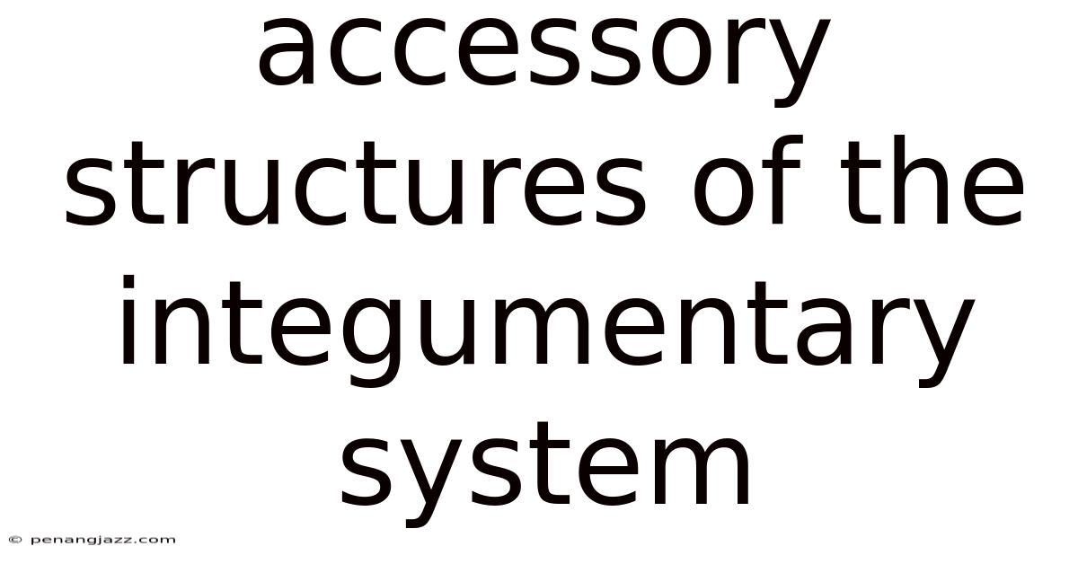 Accessory Structures Of The Integumentary System
