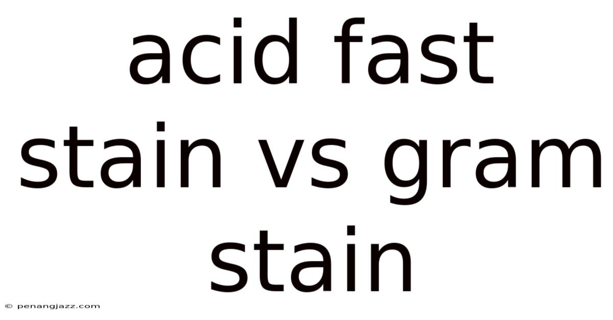 Acid Fast Stain Vs Gram Stain