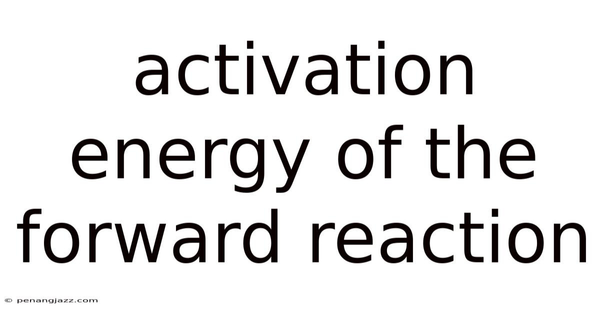 Activation Energy Of The Forward Reaction