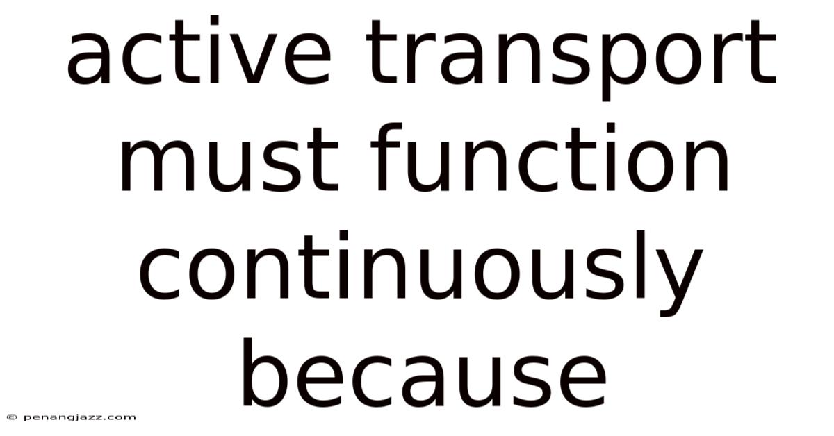 Active Transport Must Function Continuously Because
