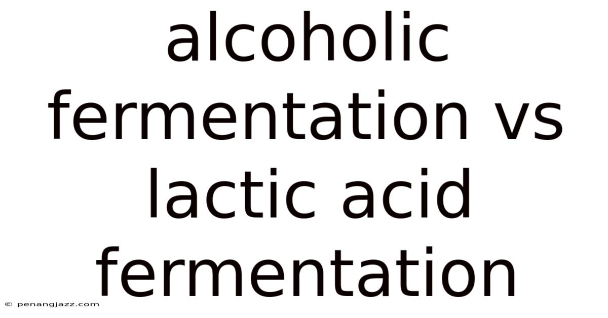 Alcoholic Fermentation Vs Lactic Acid Fermentation