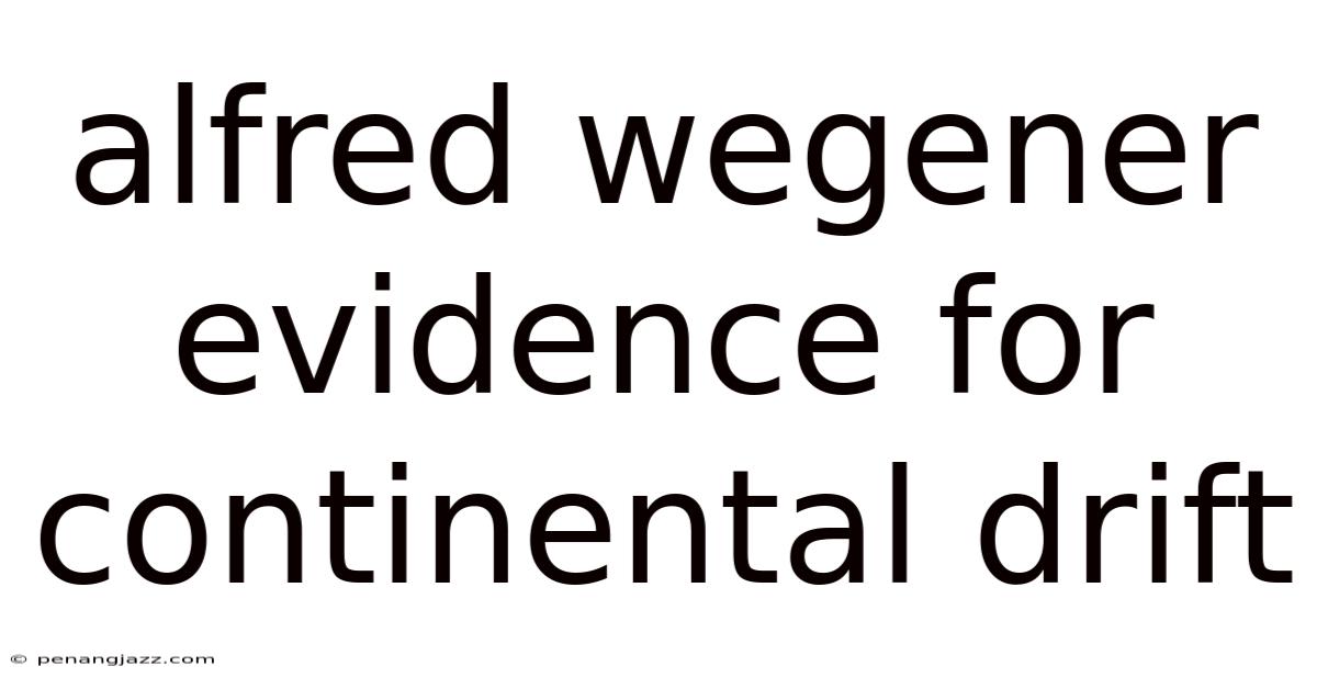 Alfred Wegener Evidence For Continental Drift