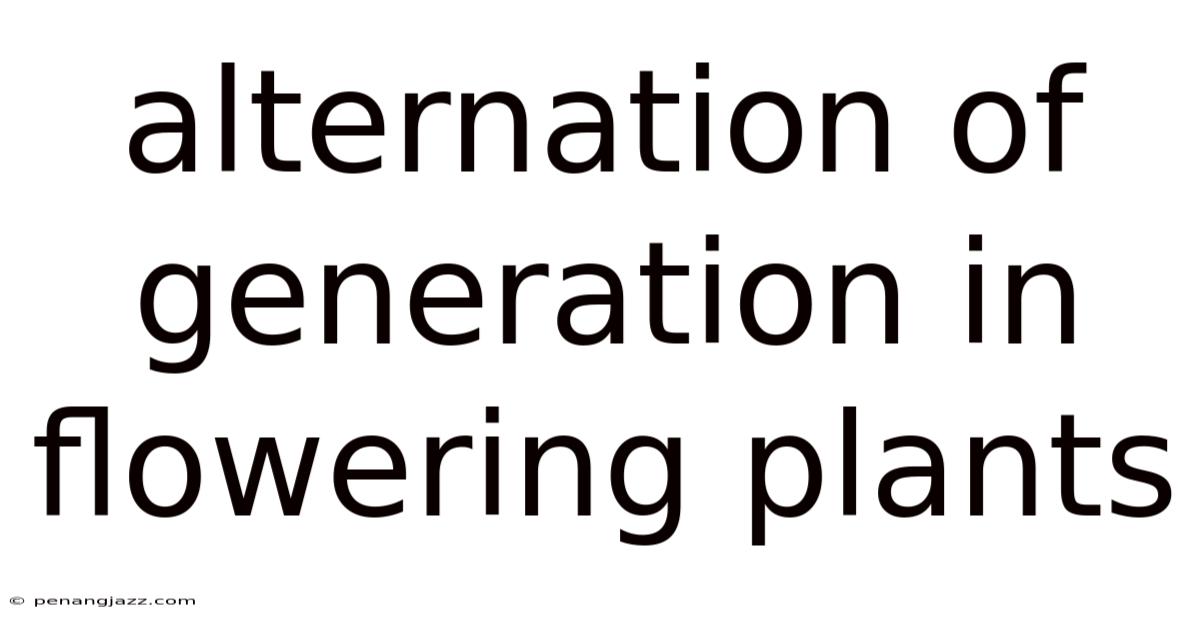 Alternation Of Generation In Flowering Plants