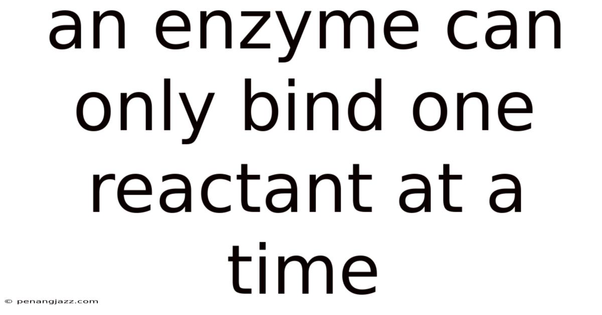 An Enzyme Can Only Bind One Reactant At A Time