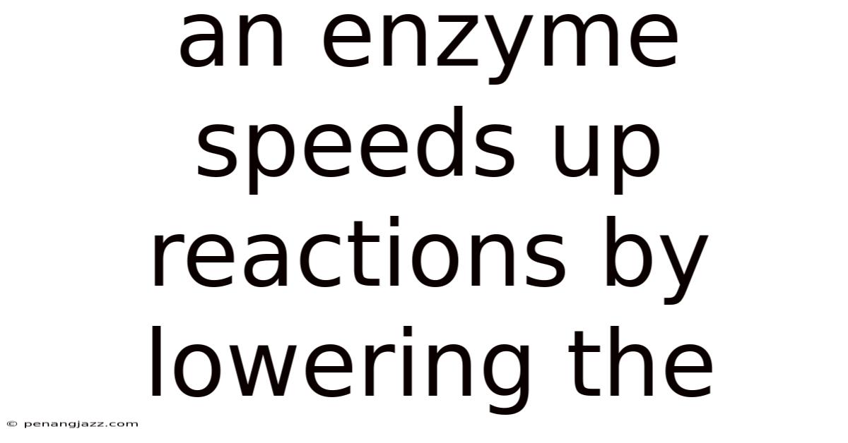 An Enzyme Speeds Up Reactions By Lowering The