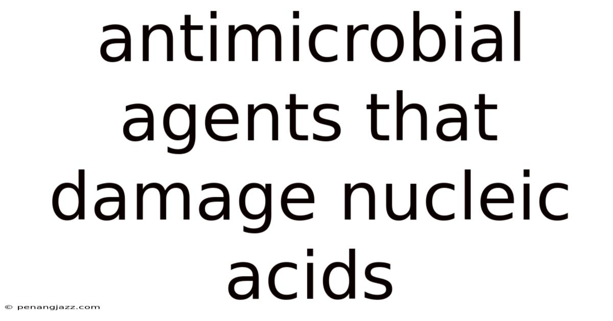 Antimicrobial Agents That Damage Nucleic Acids