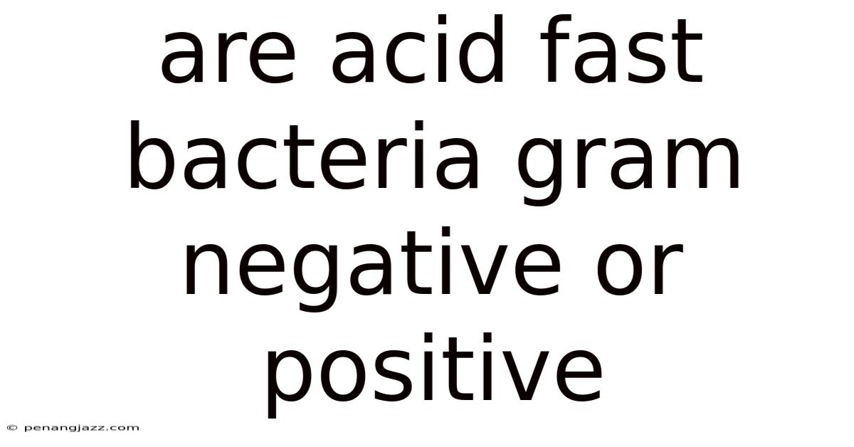 Are Acid Fast Bacteria Gram Negative Or Positive
