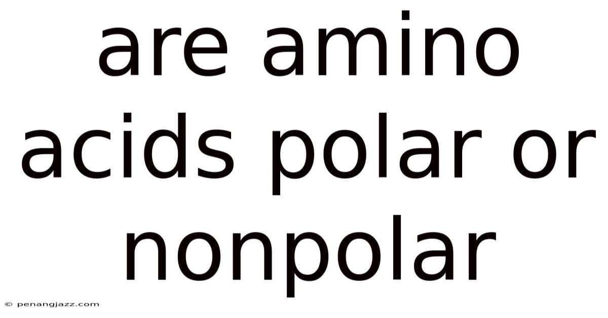 Are Amino Acids Polar Or Nonpolar