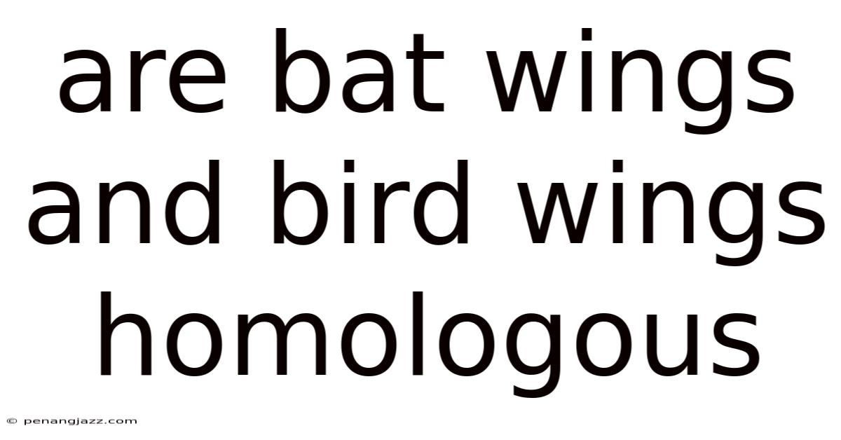 Are Bat Wings And Bird Wings Homologous