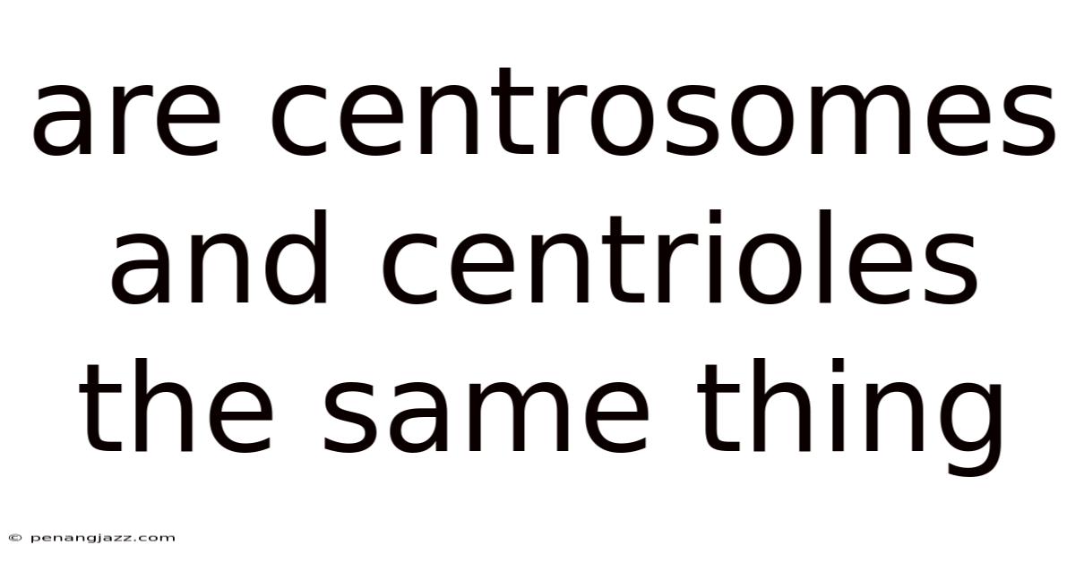 Are Centrosomes And Centrioles The Same Thing