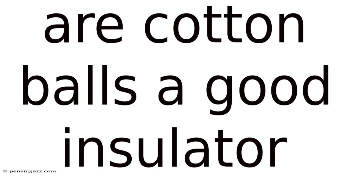 Are Cotton Balls A Good Insulator