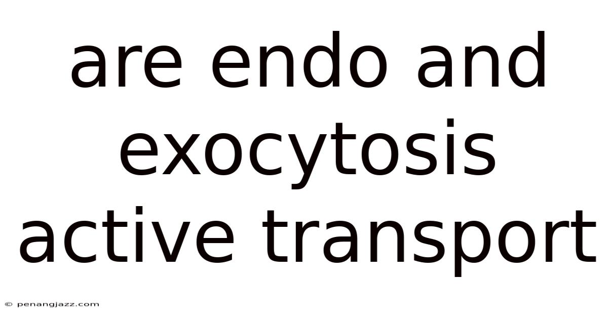 Are Endo And Exocytosis Active Transport
