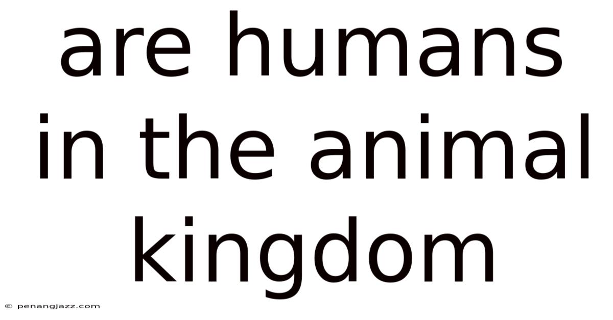 Are Humans In The Animal Kingdom