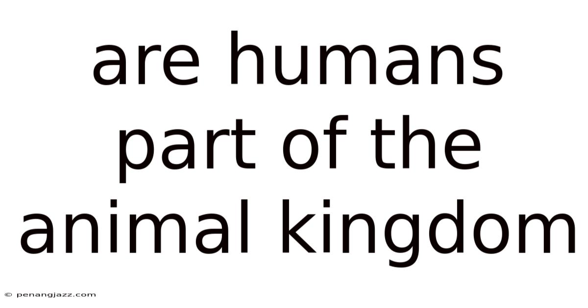Are Humans Part Of The Animal Kingdom