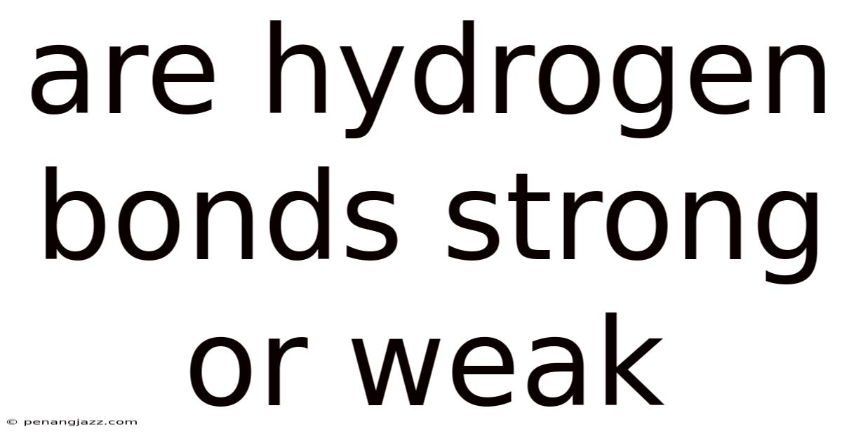 Are Hydrogen Bonds Strong Or Weak