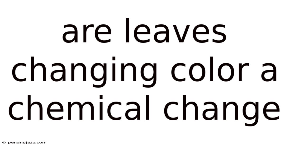 Are Leaves Changing Color A Chemical Change