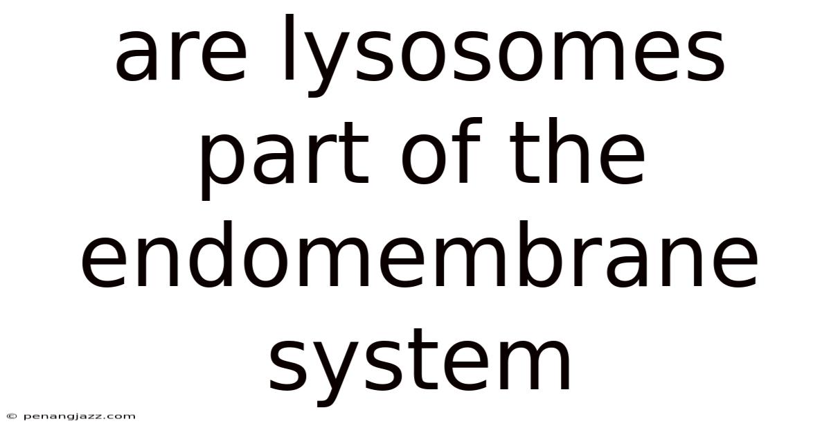 Are Lysosomes Part Of The Endomembrane System