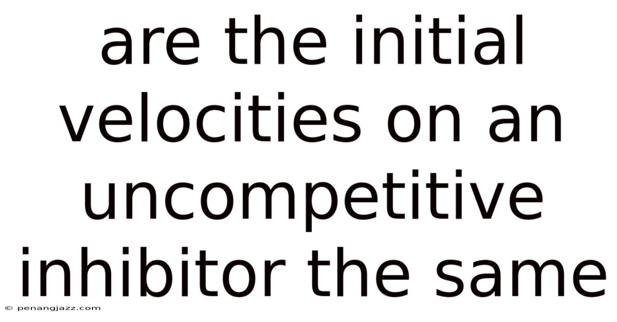 Are The Initial Velocities On An Uncompetitive Inhibitor The Same