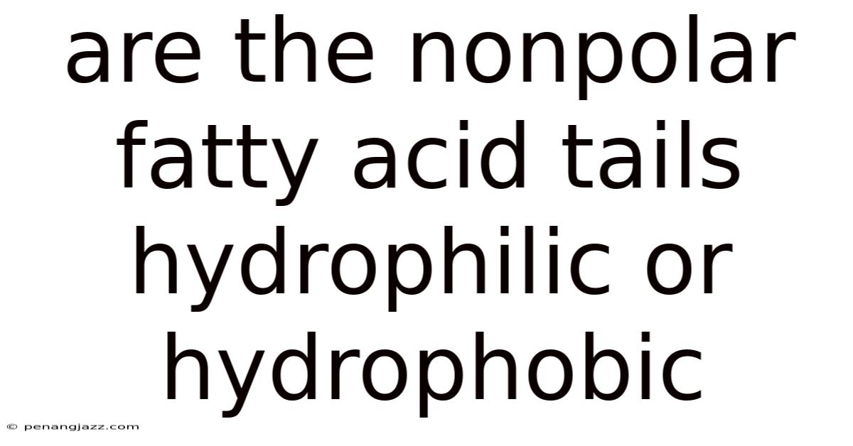 Are The Nonpolar Fatty Acid Tails Hydrophilic Or Hydrophobic