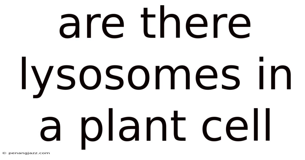 Are There Lysosomes In A Plant Cell