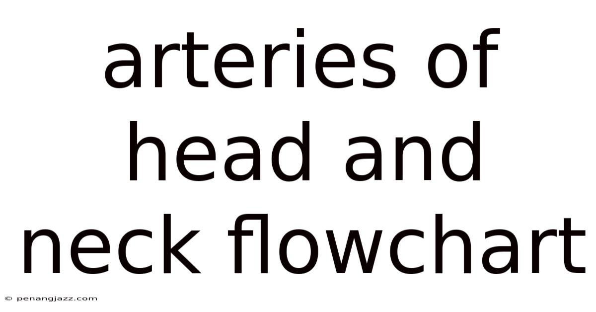 Arteries Of Head And Neck Flowchart