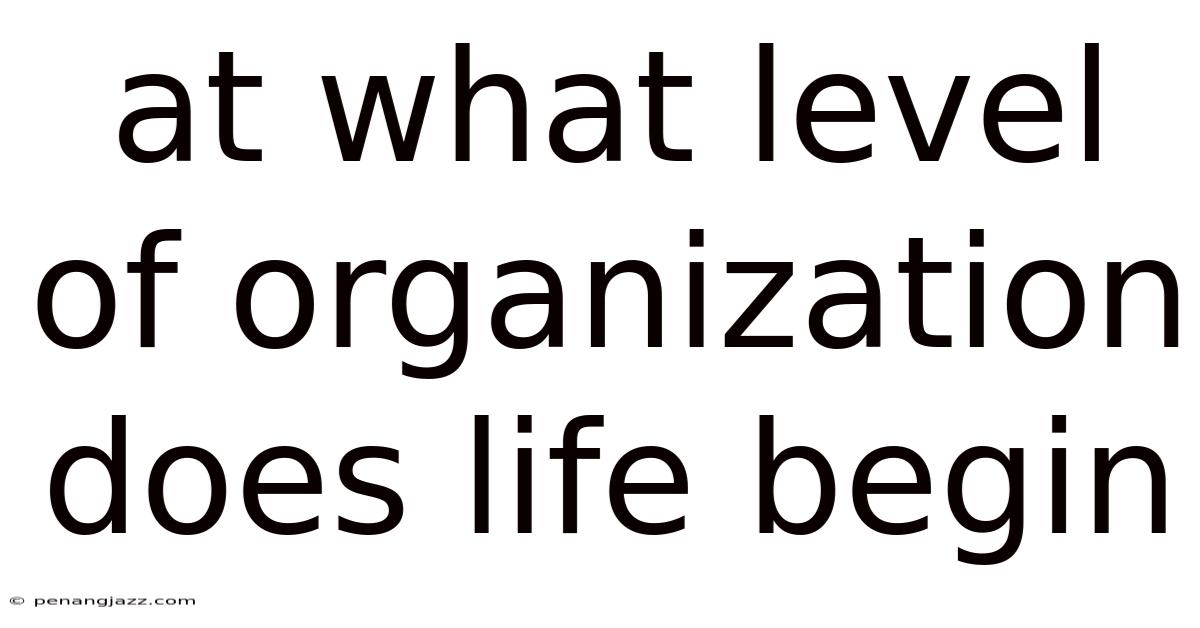 At What Level Of Organization Does Life Begin