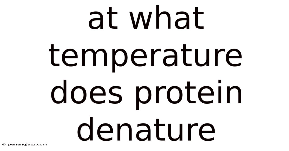 At What Temperature Does Protein Denature