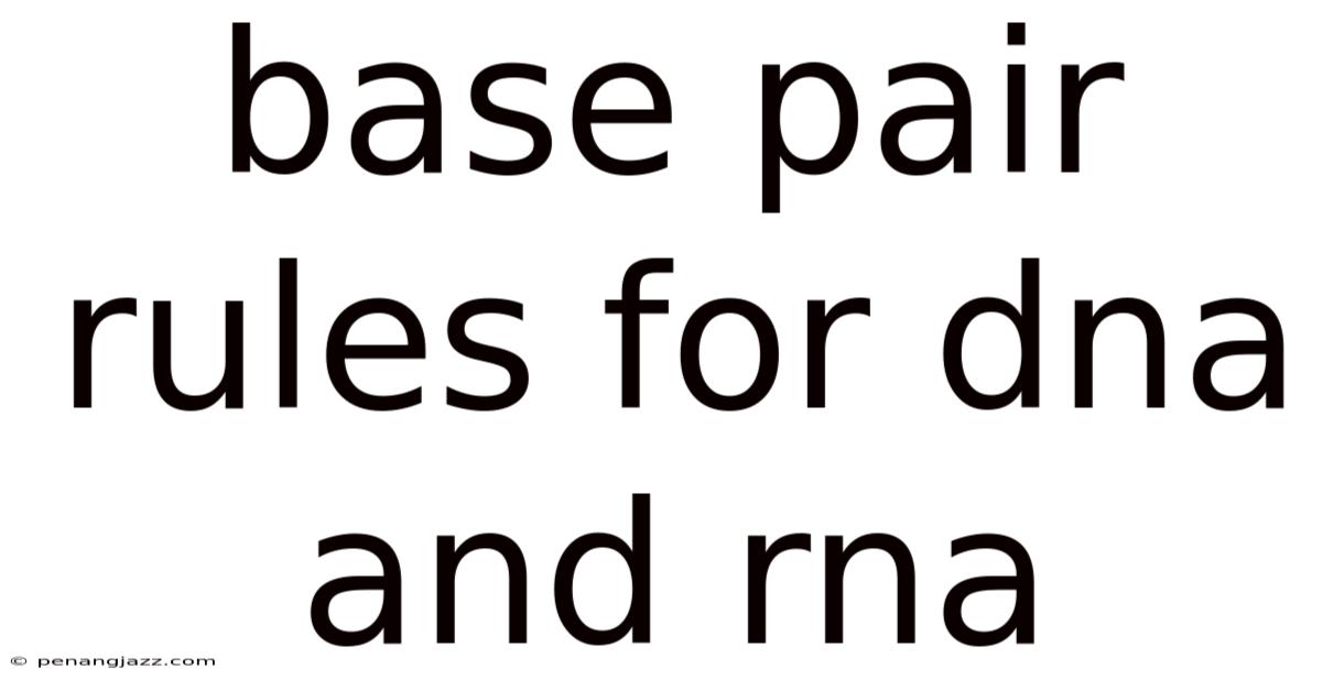 Base Pair Rules For Dna And Rna
