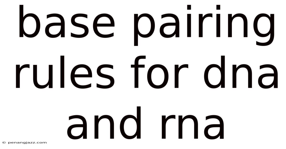 Base Pairing Rules For Dna And Rna