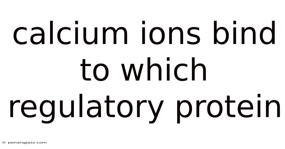 Calcium Ions Bind To Which Regulatory Protein