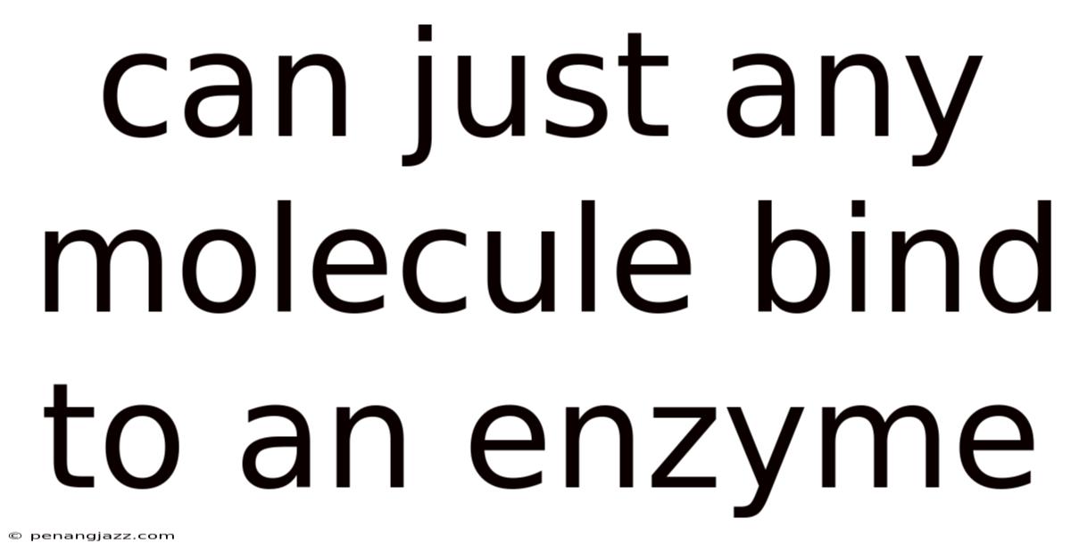 Can Just Any Molecule Bind To An Enzyme
