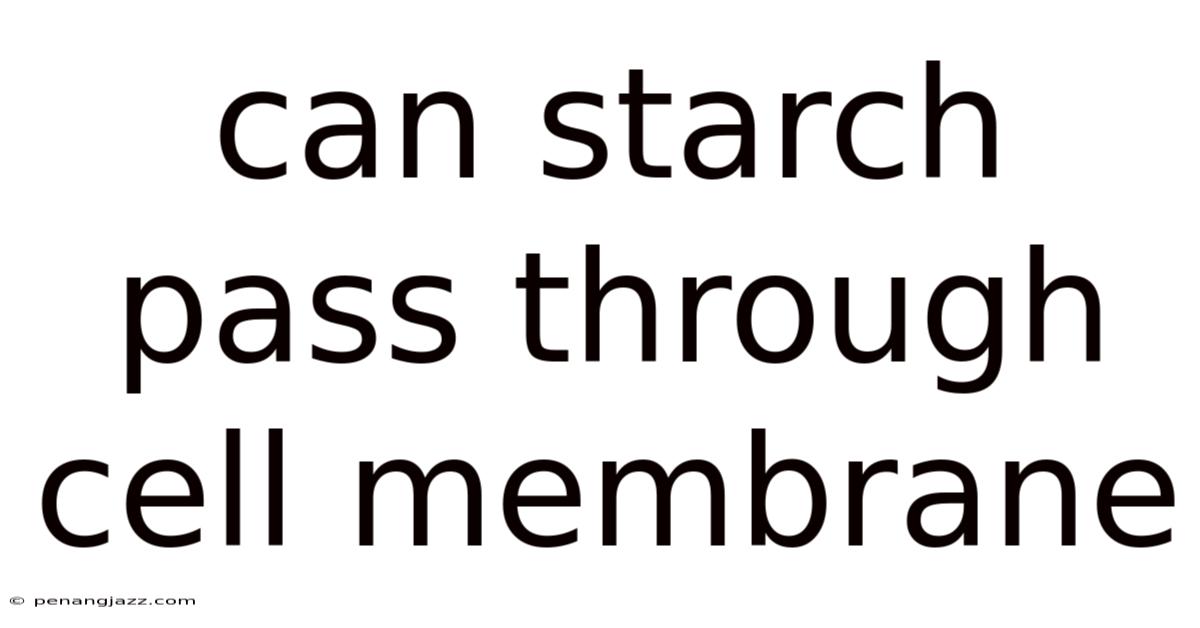 Can Starch Pass Through Cell Membrane