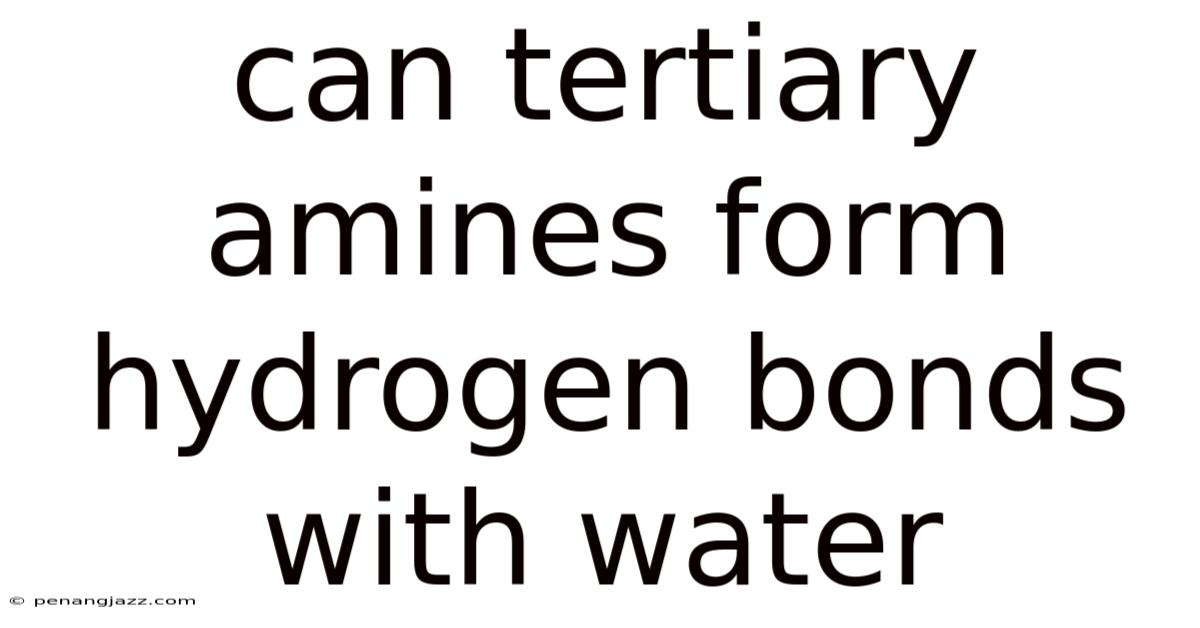 Can Tertiary Amines Form Hydrogen Bonds With Water