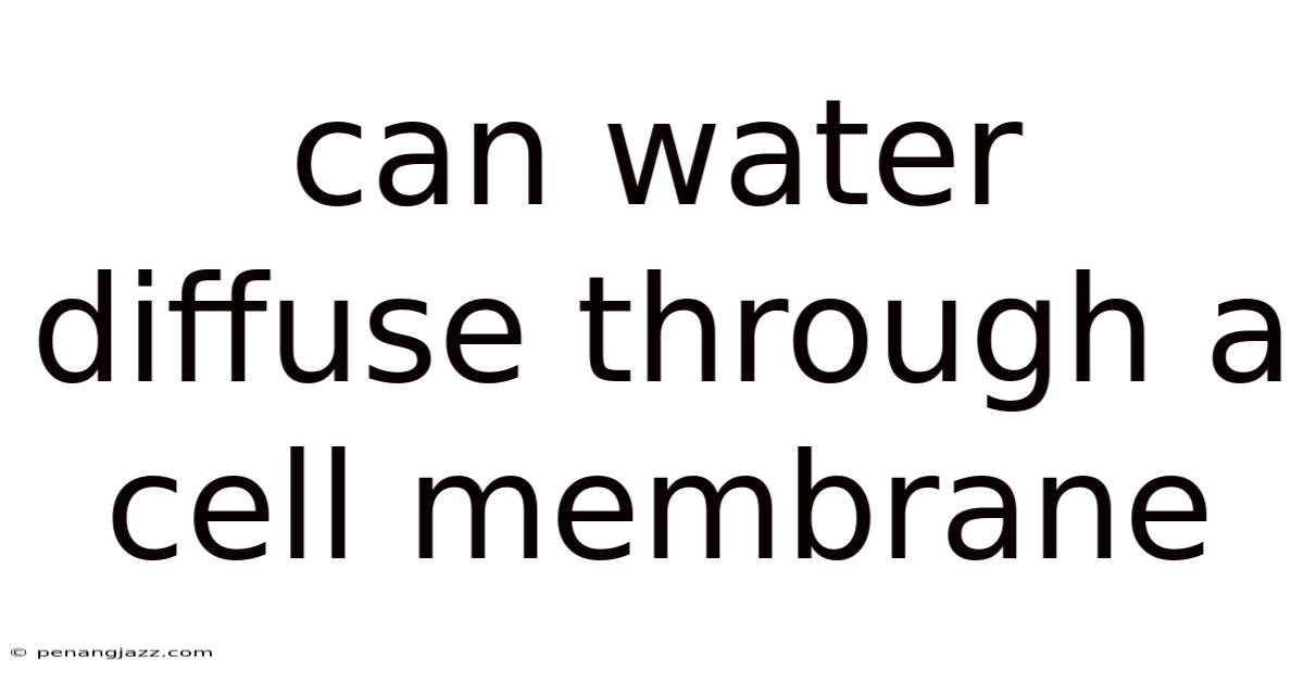 Can Water Diffuse Through A Cell Membrane