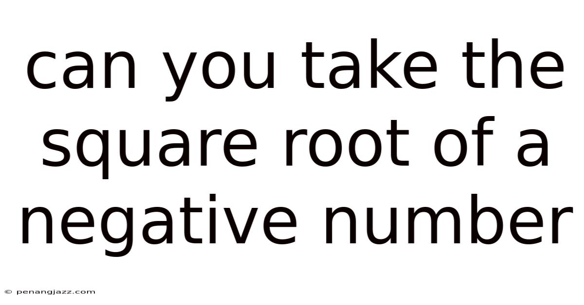 Can You Take The Square Root Of A Negative Number