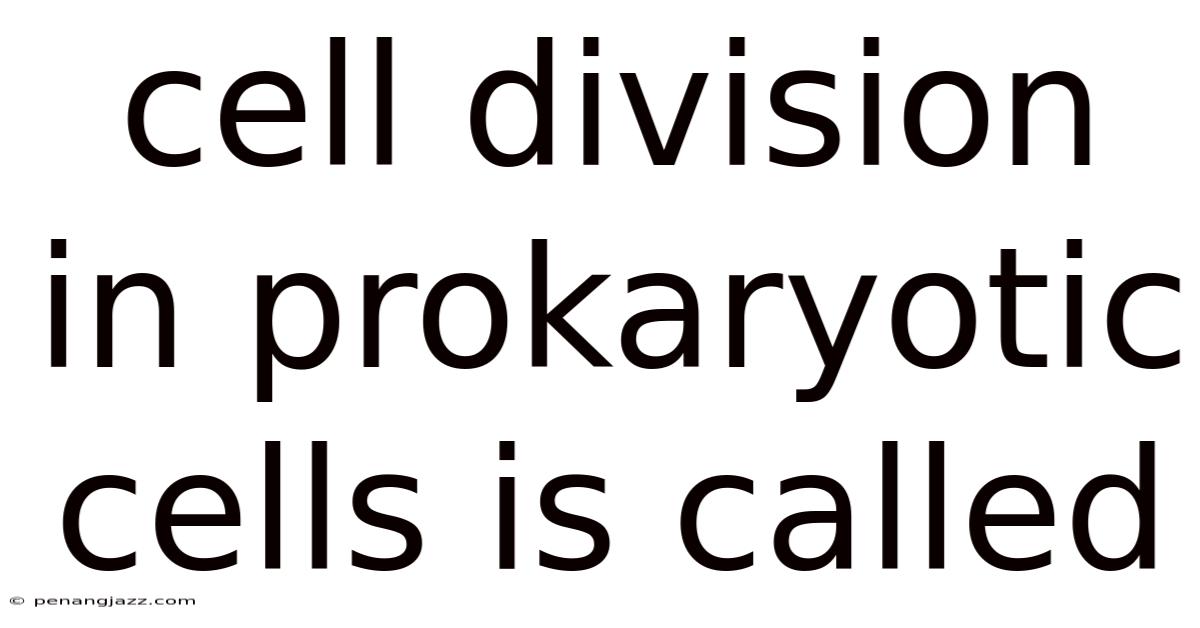 Cell Division In Prokaryotic Cells Is Called