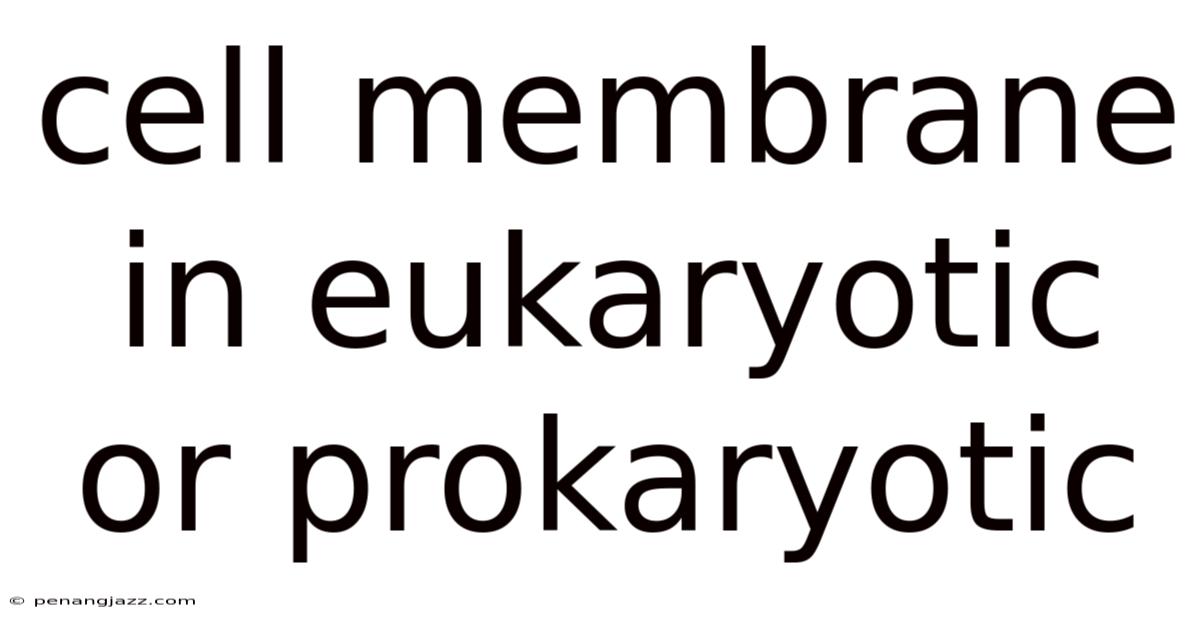Cell Membrane In Eukaryotic Or Prokaryotic